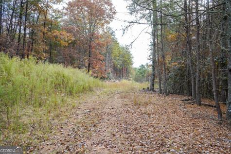 0 Rizzitello Lane Blairsville GA 30512