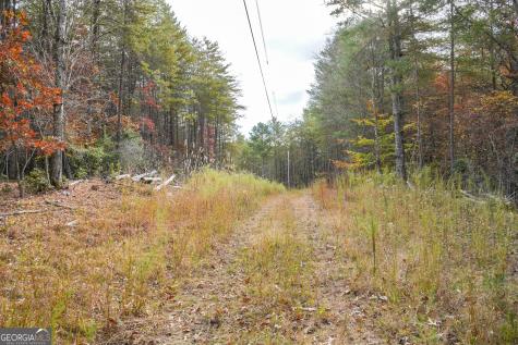 0 Rizzitello Lane Blairsville GA 30512