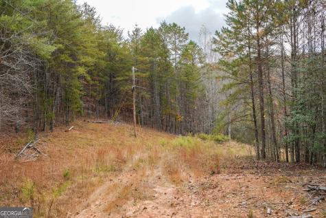 0 Rizzitello Lane Blairsville GA 30512