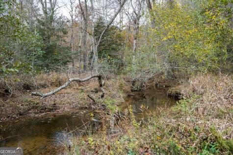 0 Rizzitello Lane Blairsville GA 30512