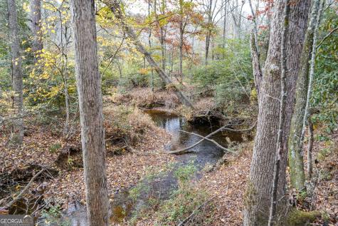 0 Rizzitello Lane Blairsville GA 30512