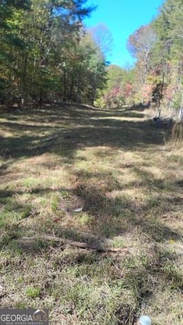 0 Rizzitello Lane Blairsville GA 30512