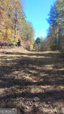 0 Rizzitello Lane Blairsville GA 30512