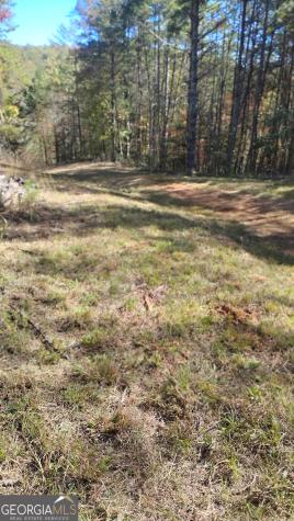 0 Rizzitello Lane Blairsville GA 30512
