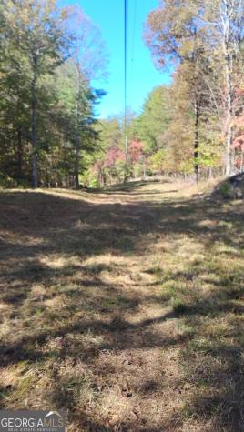 0 Rizzitello Lane Blairsville GA 30512