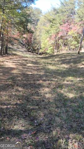0 Rizzitello Lane Blairsville GA 30512