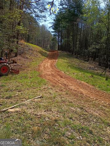 0 Rizzitello Lane Blairsville GA 30512