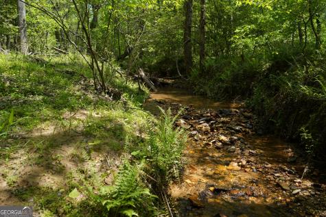 0 Rizzitello Lane Blairsville GA 30512