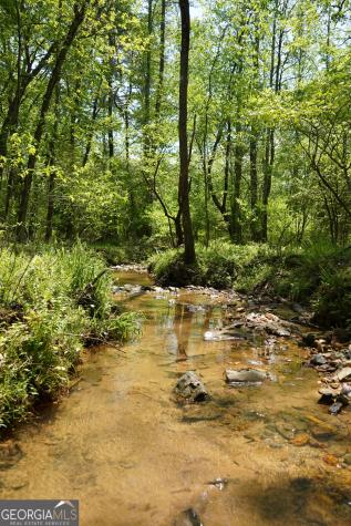 0 Rizzitello Lane Blairsville GA 30512