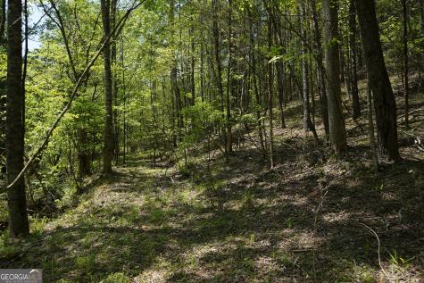 0 Rizzitello Lane Blairsville GA 30512