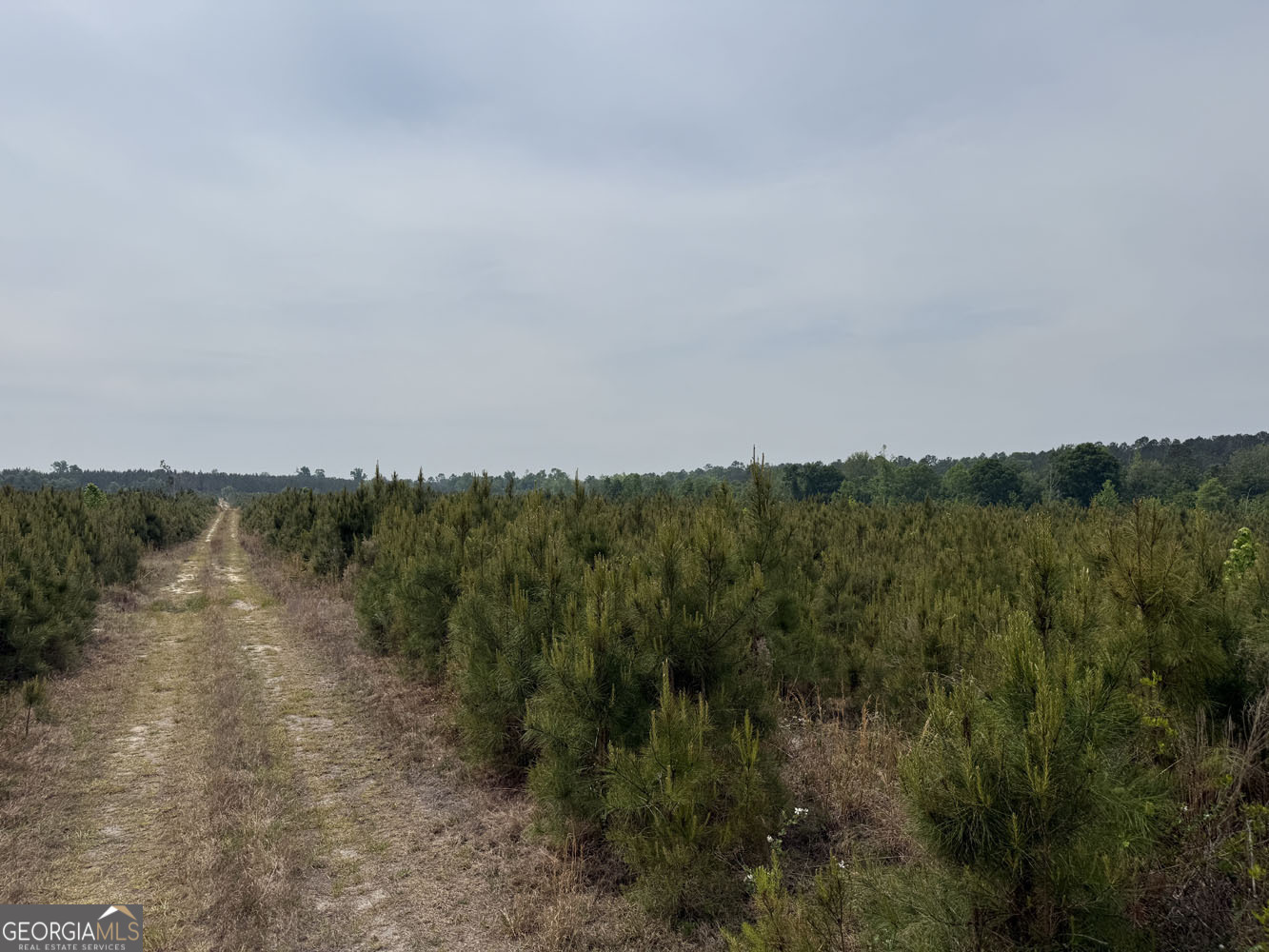 5 Cedar Grove Dublin GA 31021