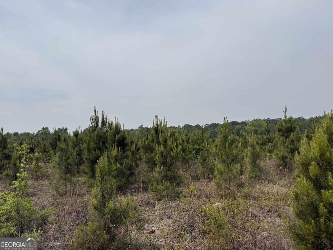5 Cedar Grove Dublin GA 31021