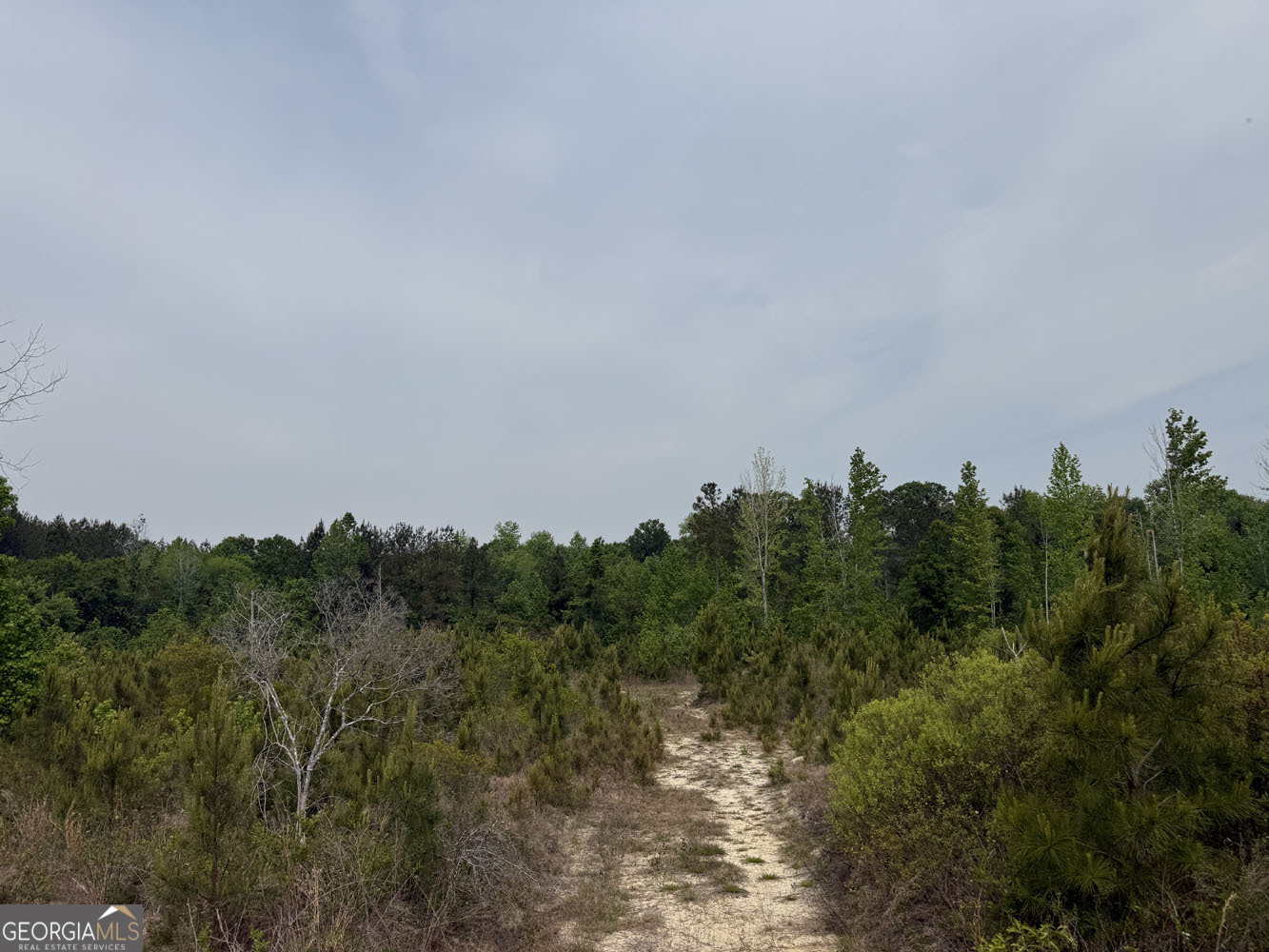 5 Cedar Grove Dublin GA 31021