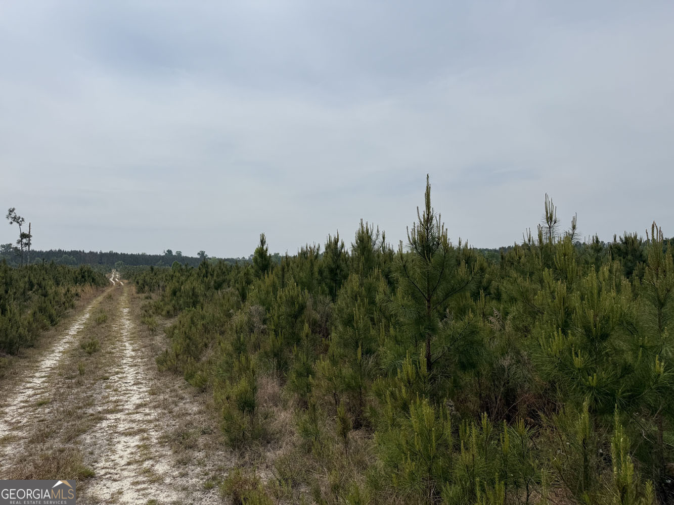 5 Cedar Grove Dublin GA 31021