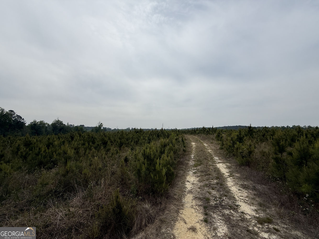 5 Cedar Grove Dublin GA 31021