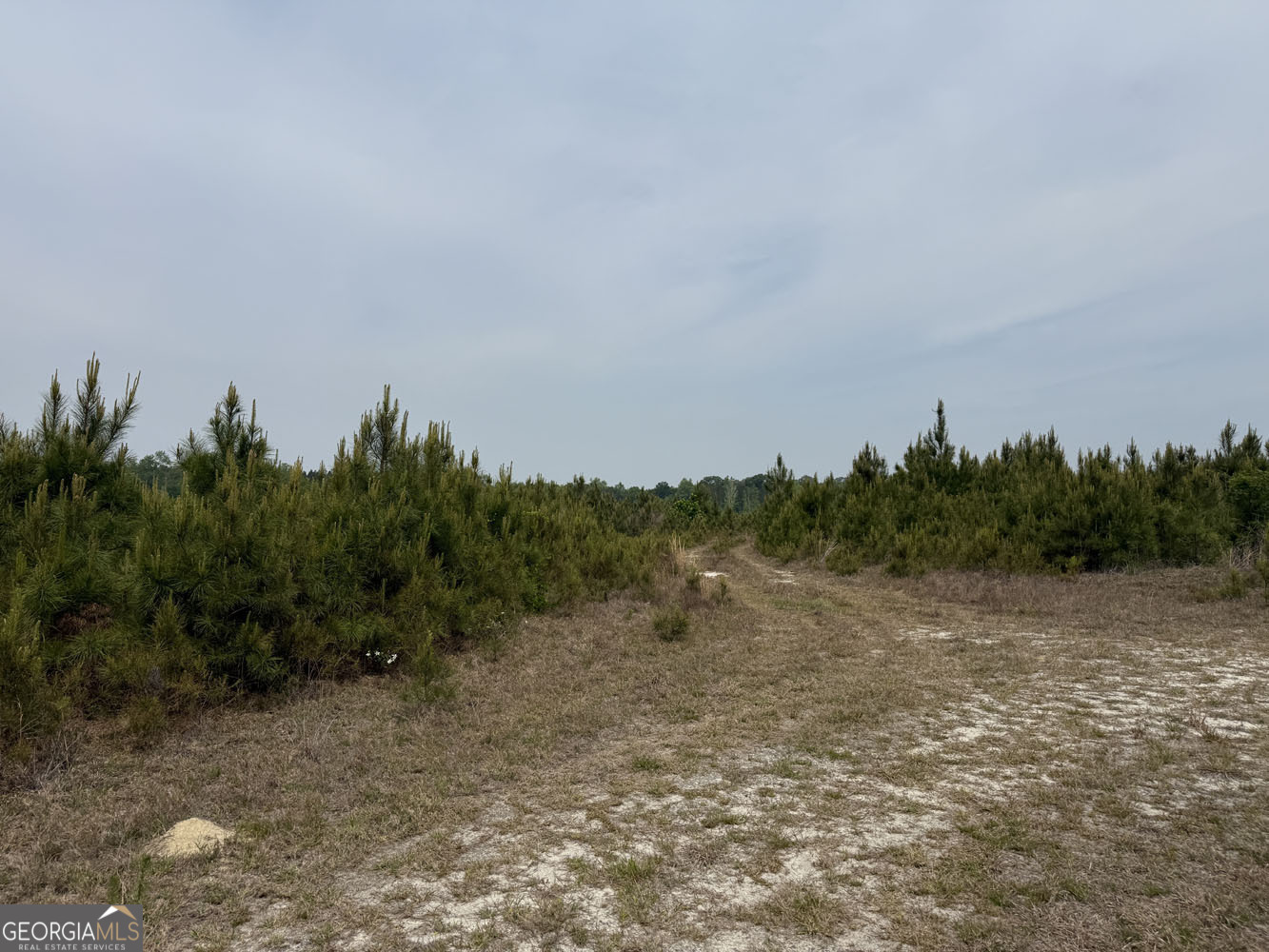 5 Cedar Grove Dublin GA 31021