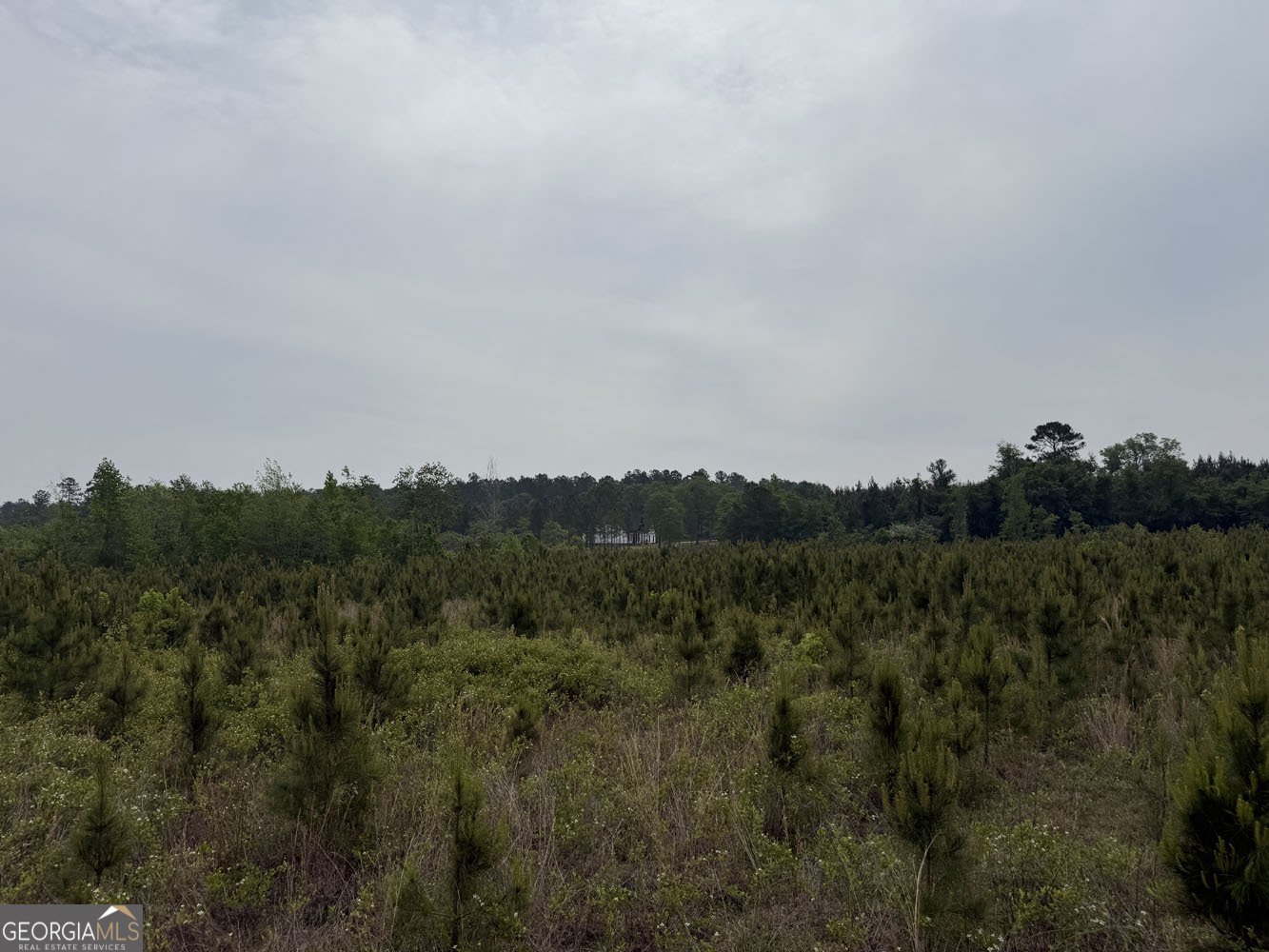 5 Cedar Grove Dublin GA 31021