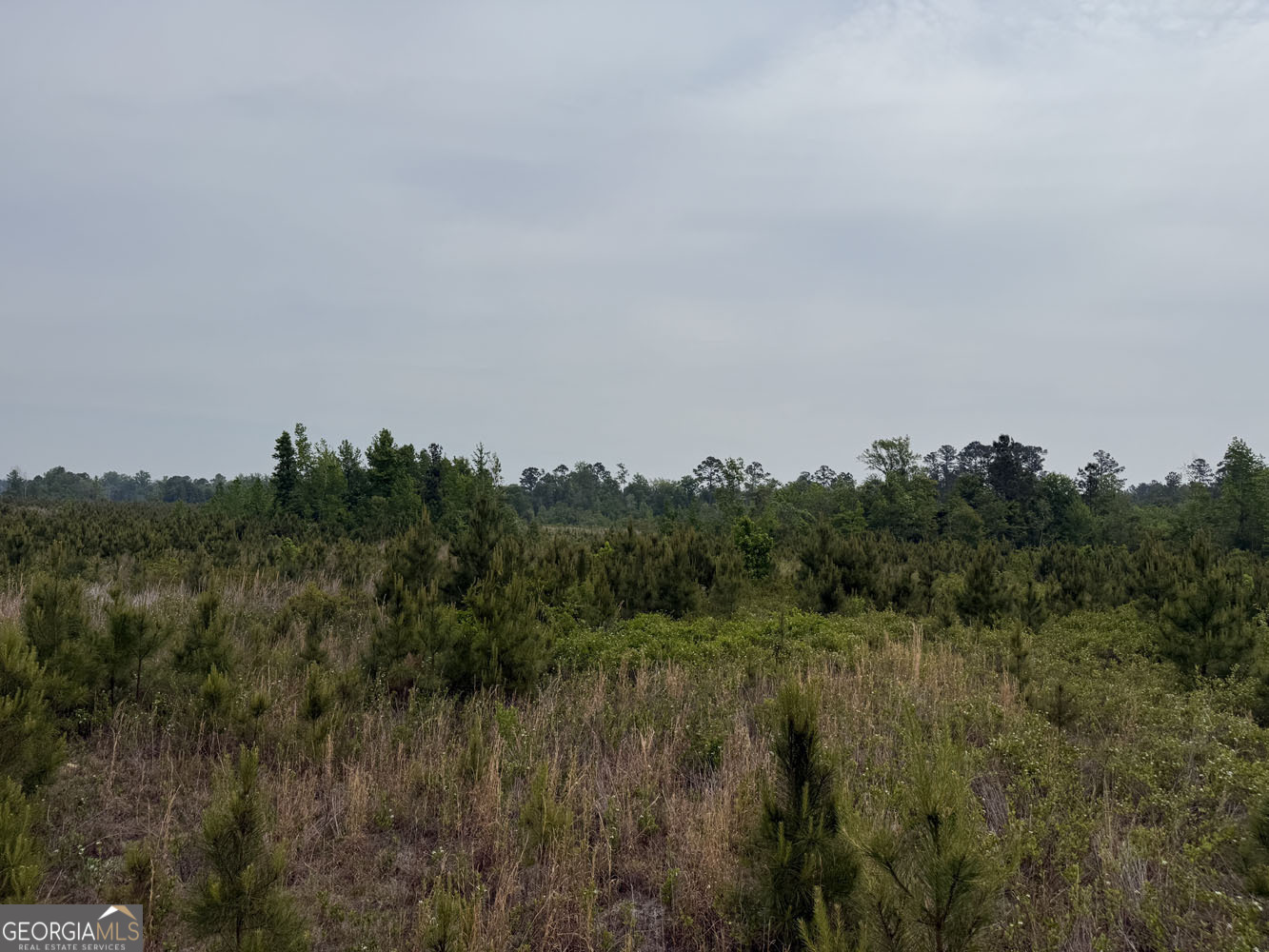 5 Cedar Grove Dublin GA 31021