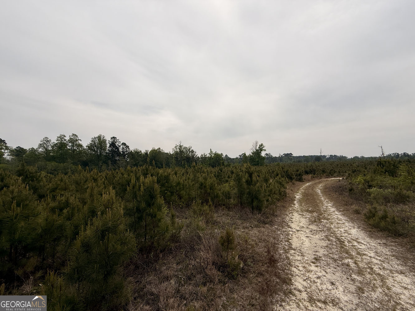 5 Cedar Grove Dublin GA 31021