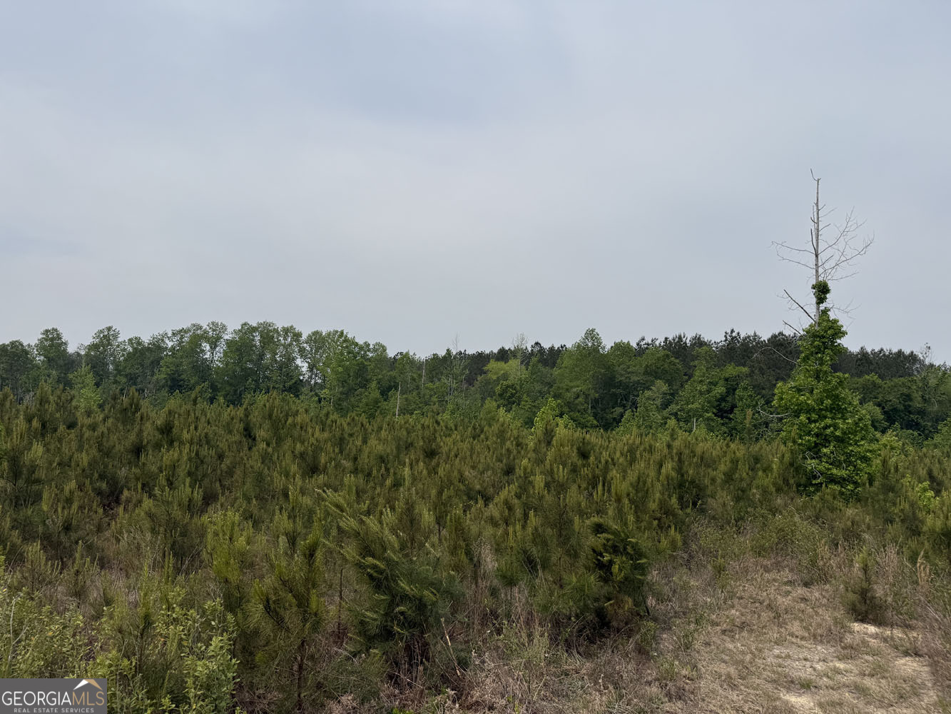 5 Cedar Grove Dublin GA 31021