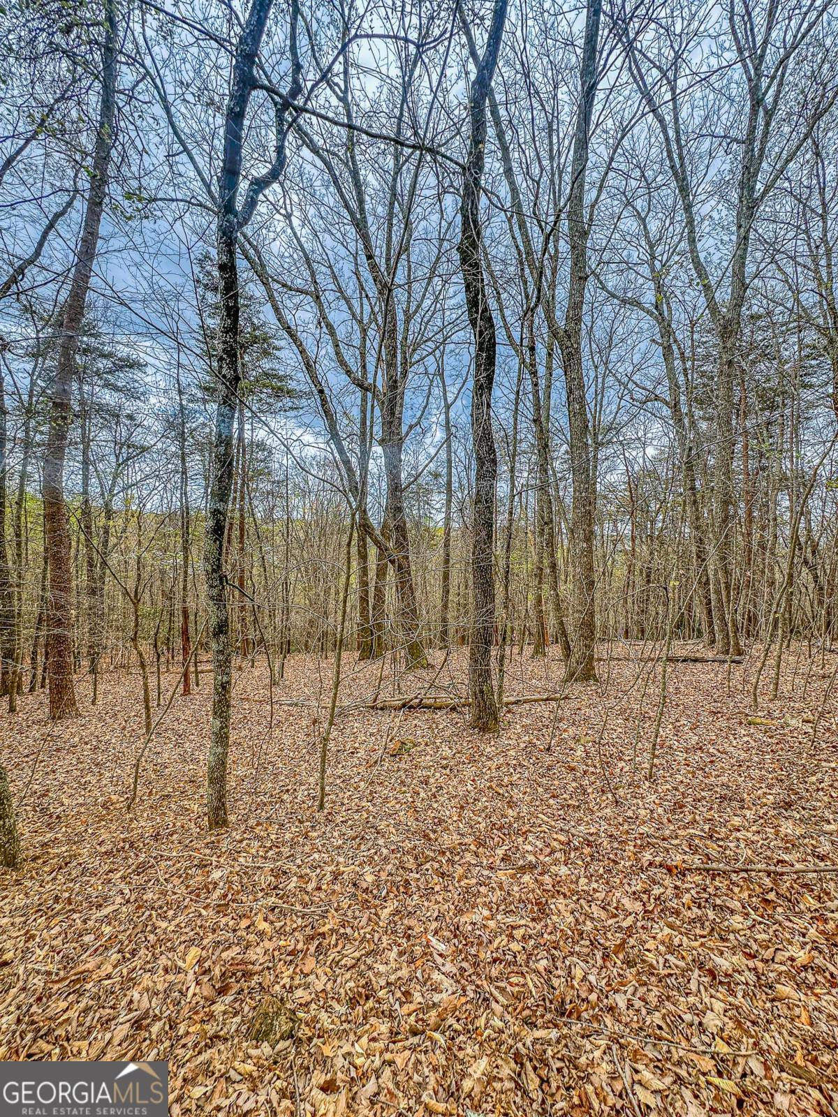 0 Green Meadows Dahlonega GA 30533