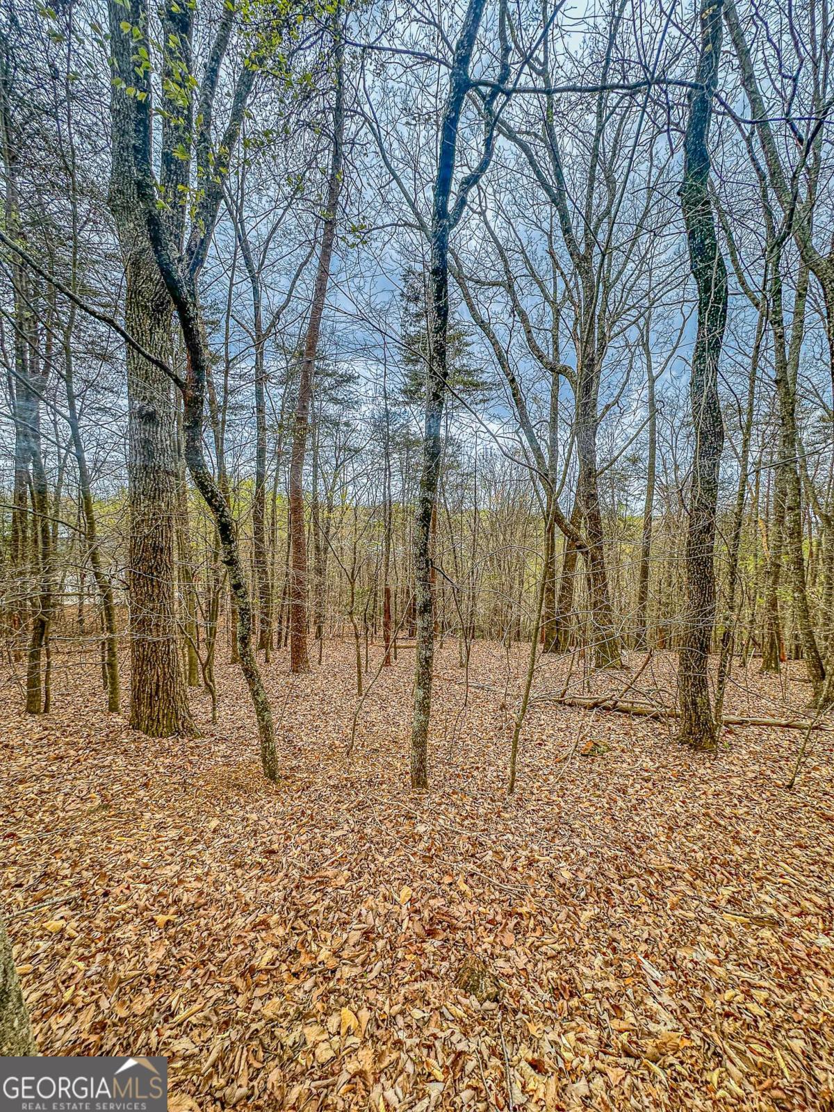 0 Green Meadows Dahlonega GA 30533