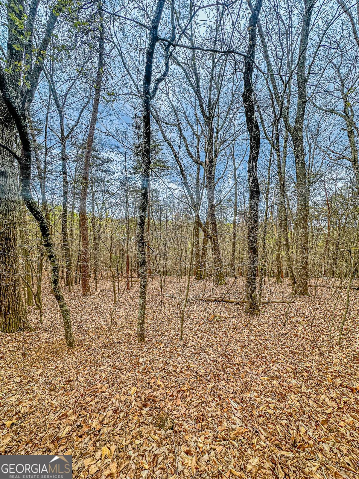 0 Green Meadows Dahlonega GA 30533