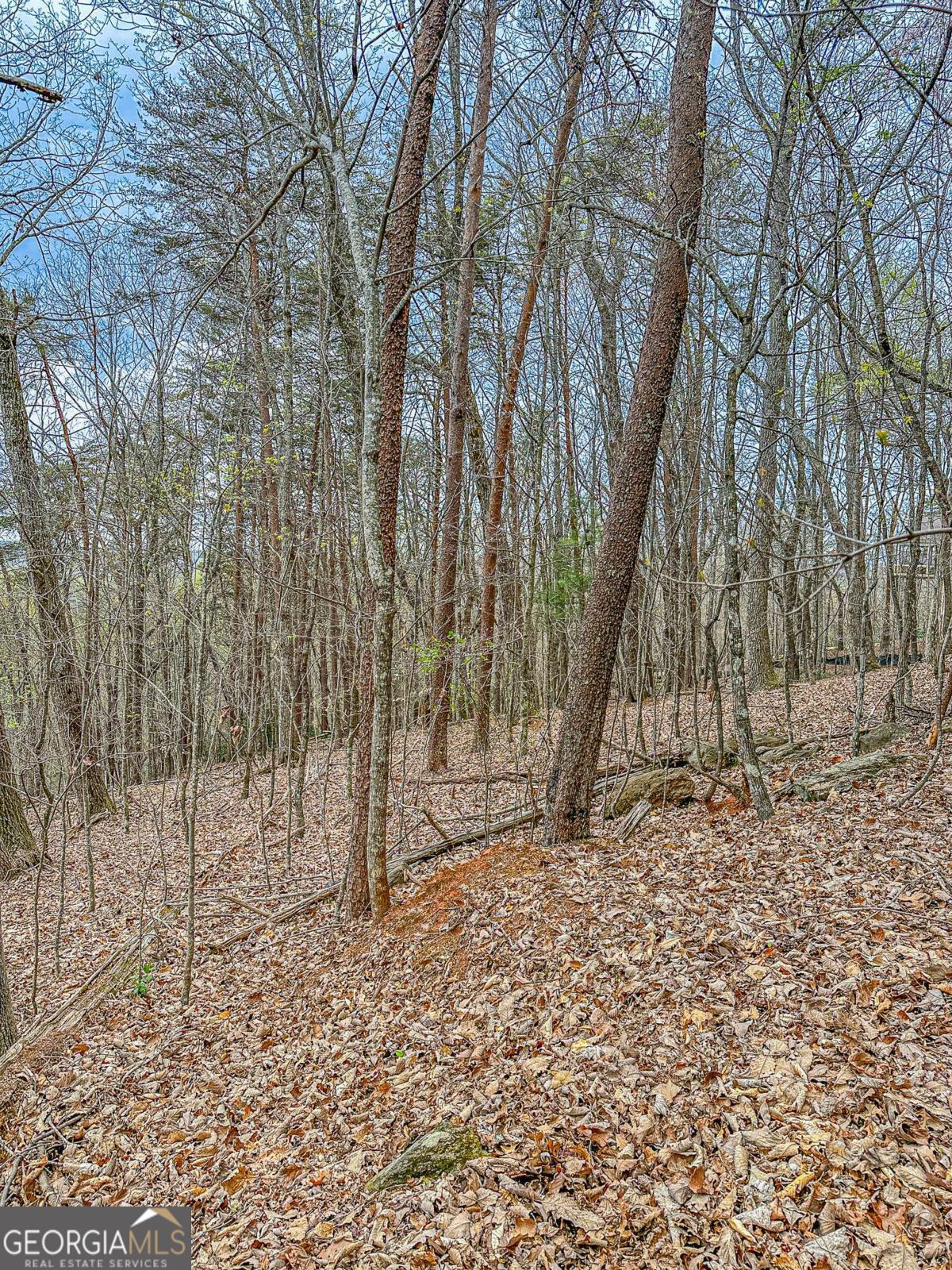 0 Green Meadows Dahlonega GA 30533