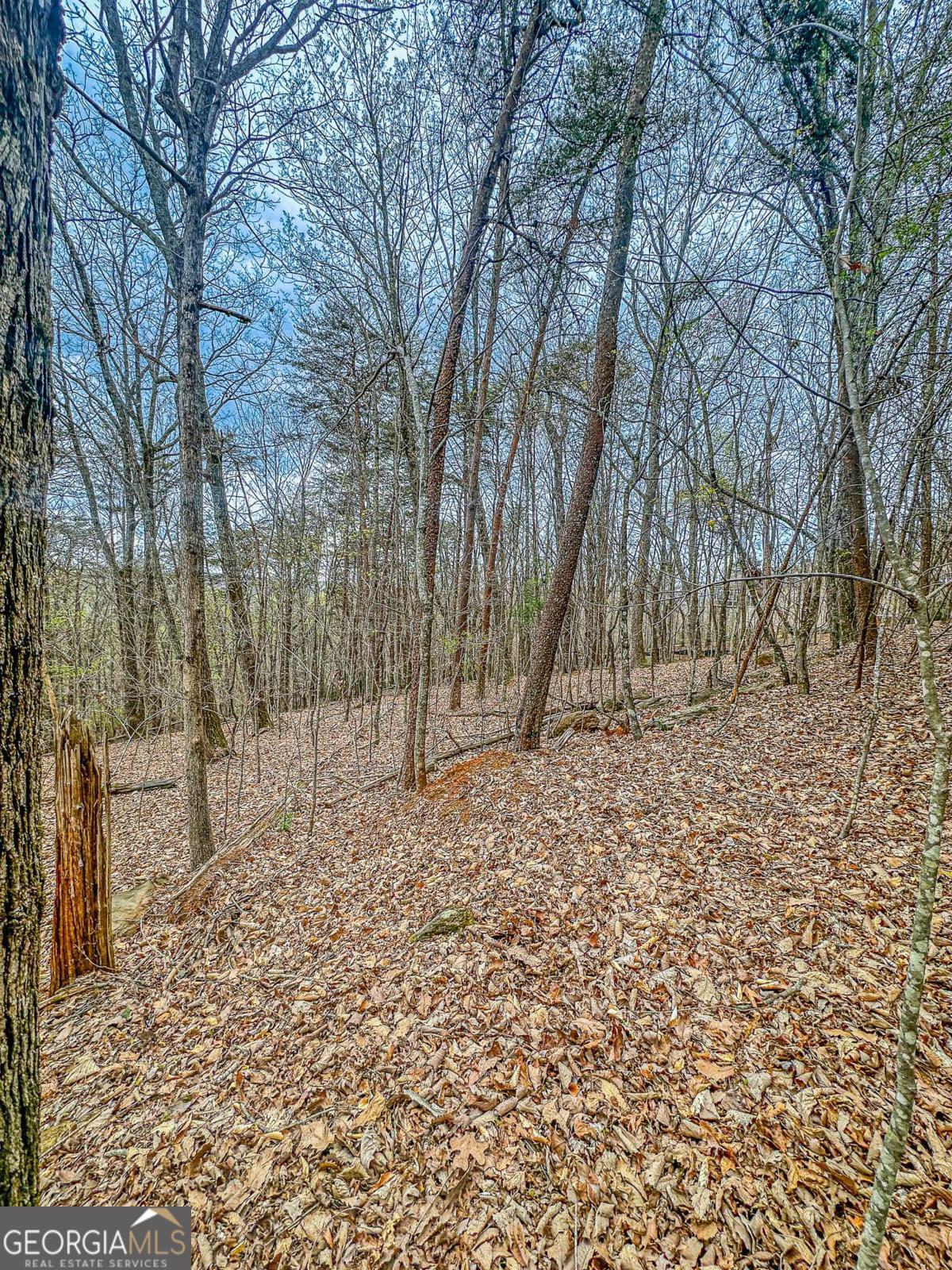 0 Green Meadows Dahlonega GA 30533