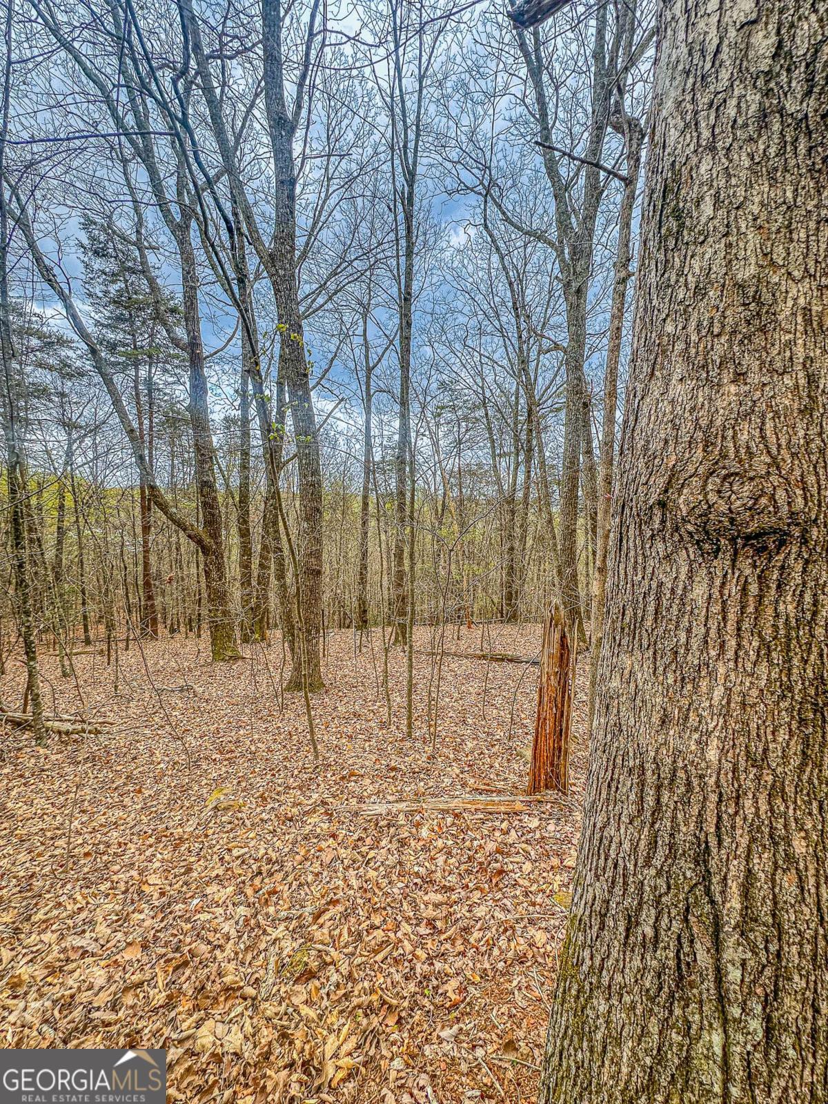 0 Green Meadows Dahlonega GA 30533