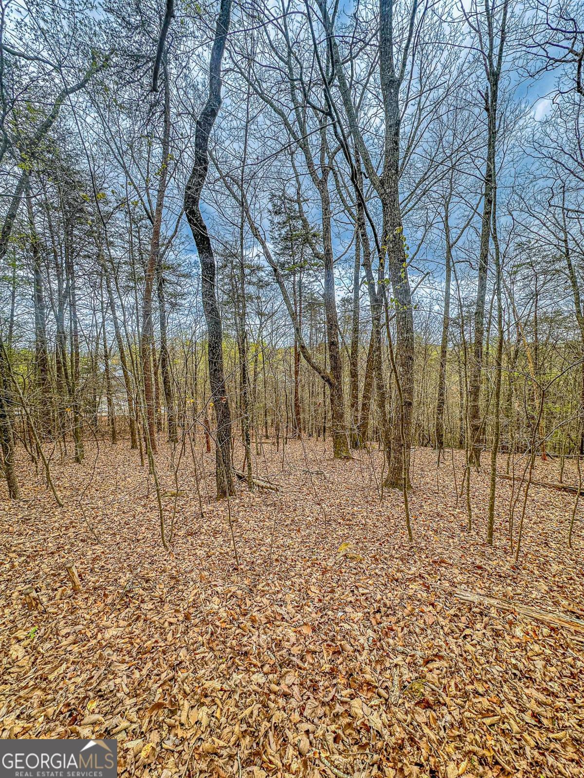 0 Green Meadows Dahlonega GA 30533