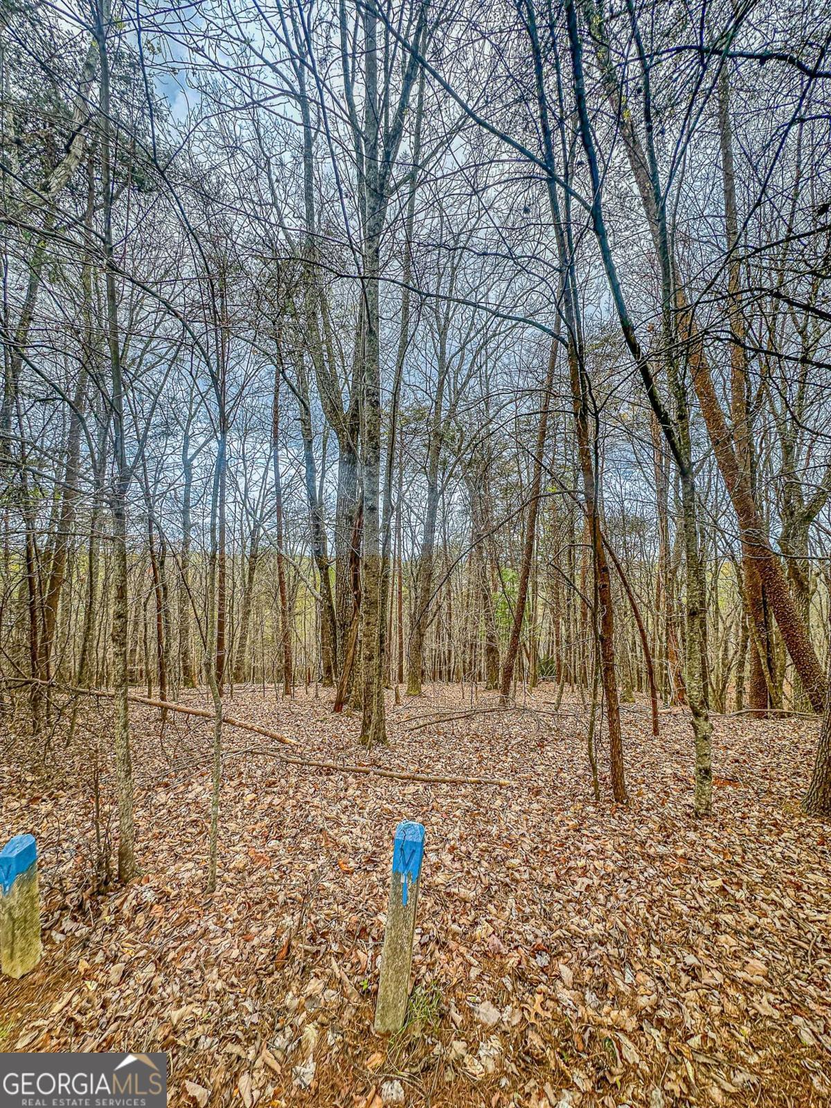 0 Green Meadows Dahlonega GA 30533