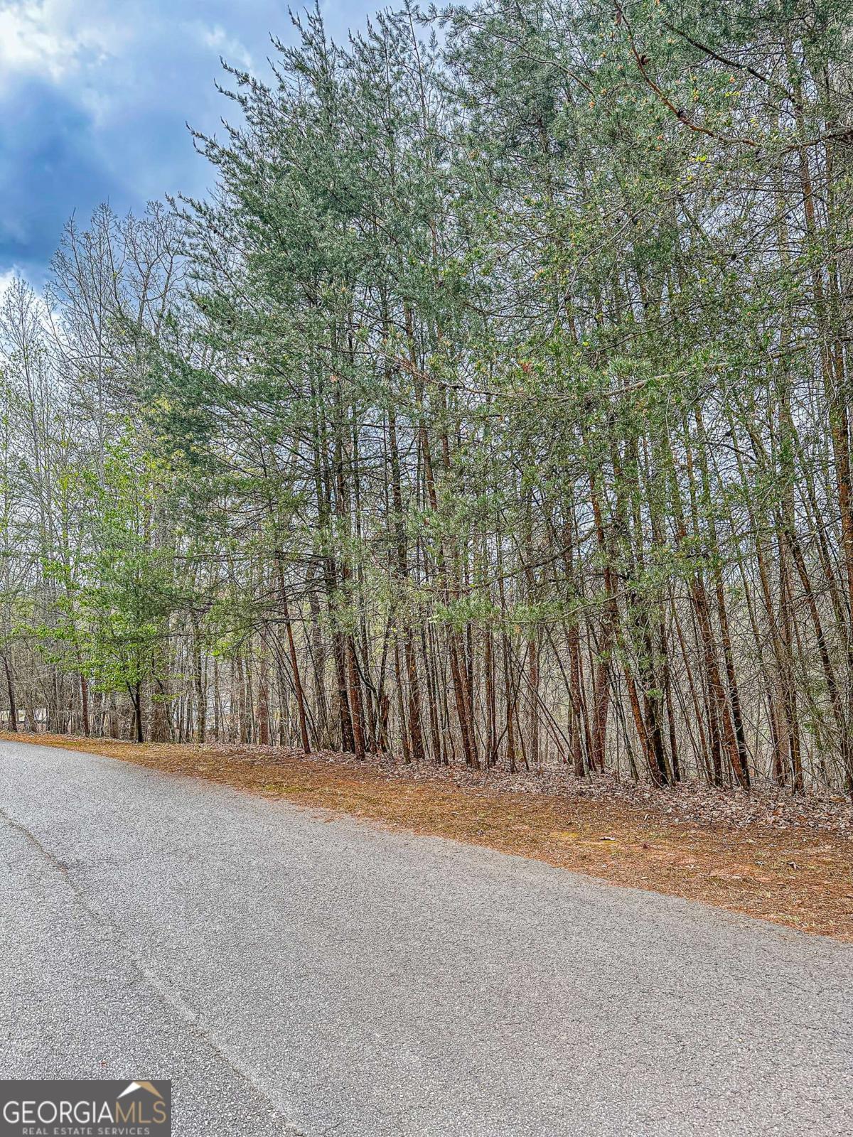 0 Green Meadows Dahlonega GA 30533
