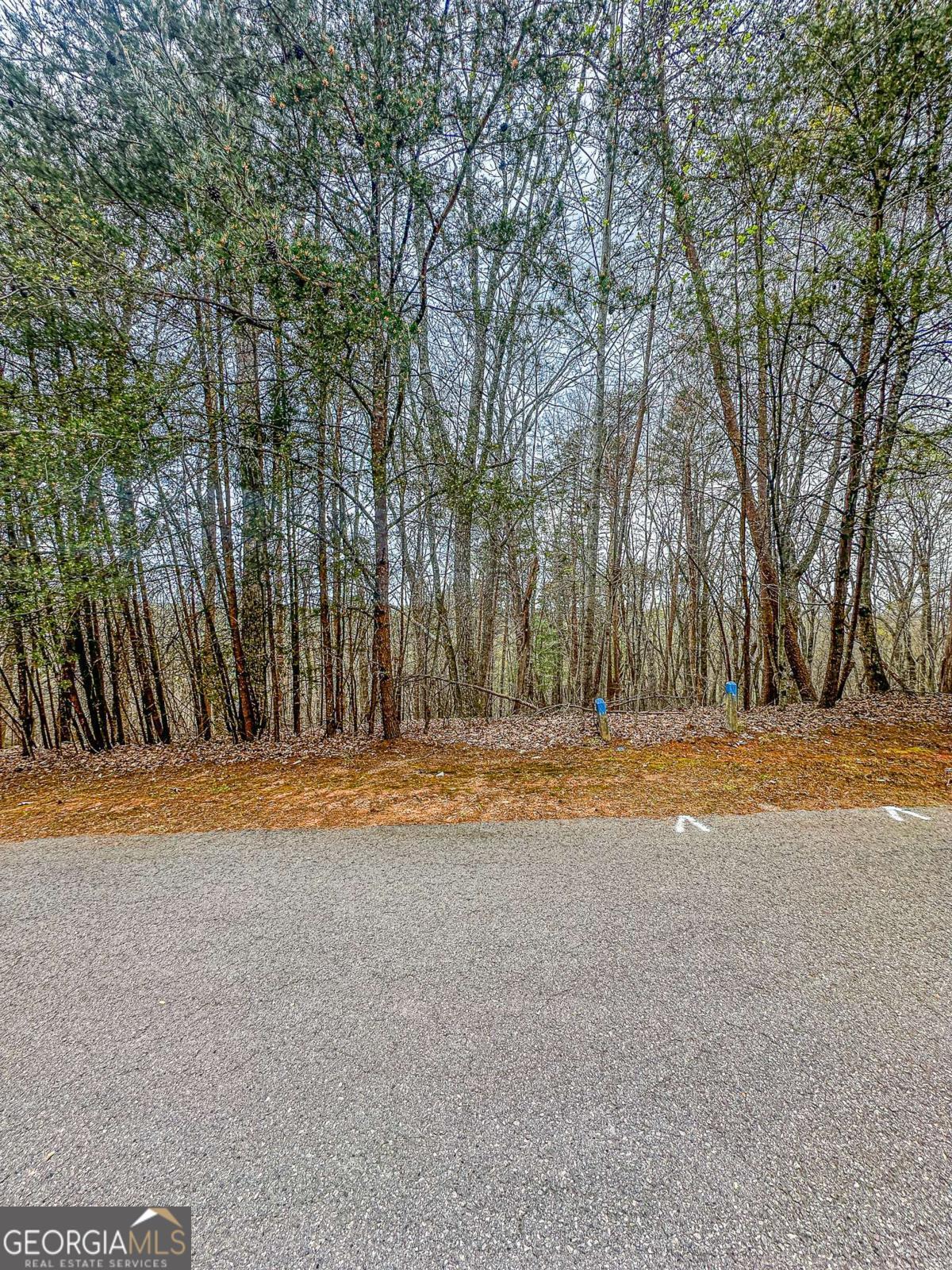 0 Green Meadows Dahlonega GA 30533