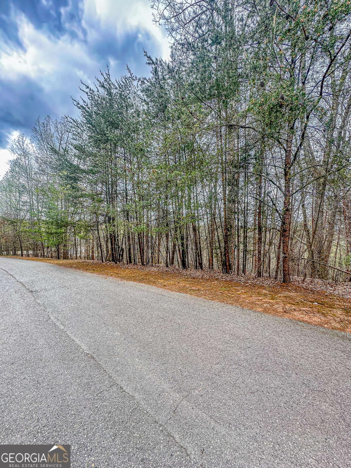 0 Green Meadows Dahlonega GA 30533
