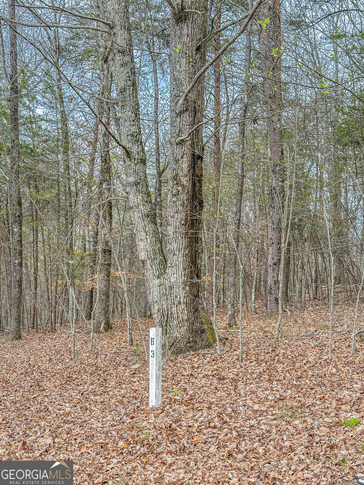 0 Green Meadows Dahlonega GA 30533