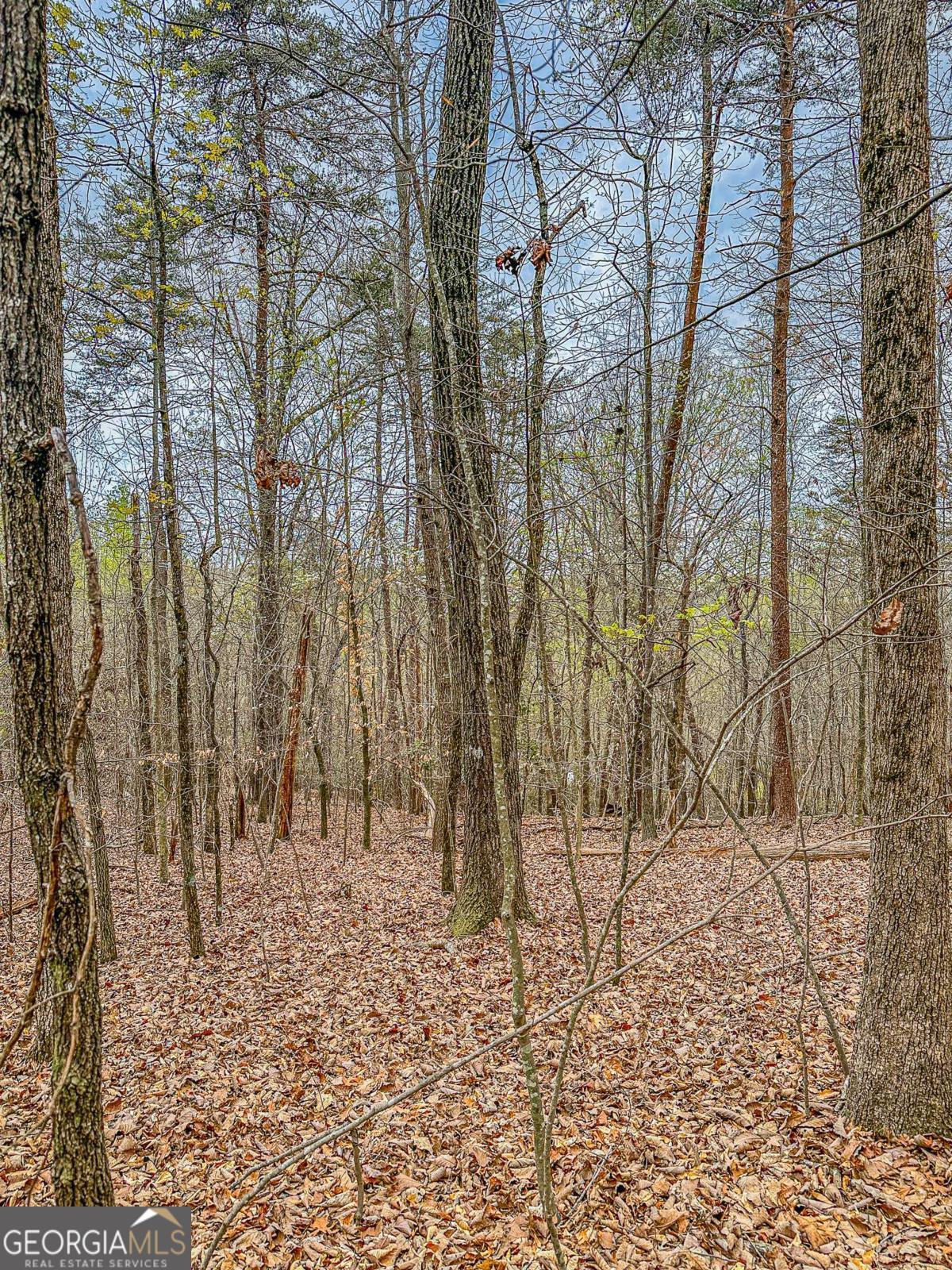 0 Green Meadows Dahlonega GA 30533