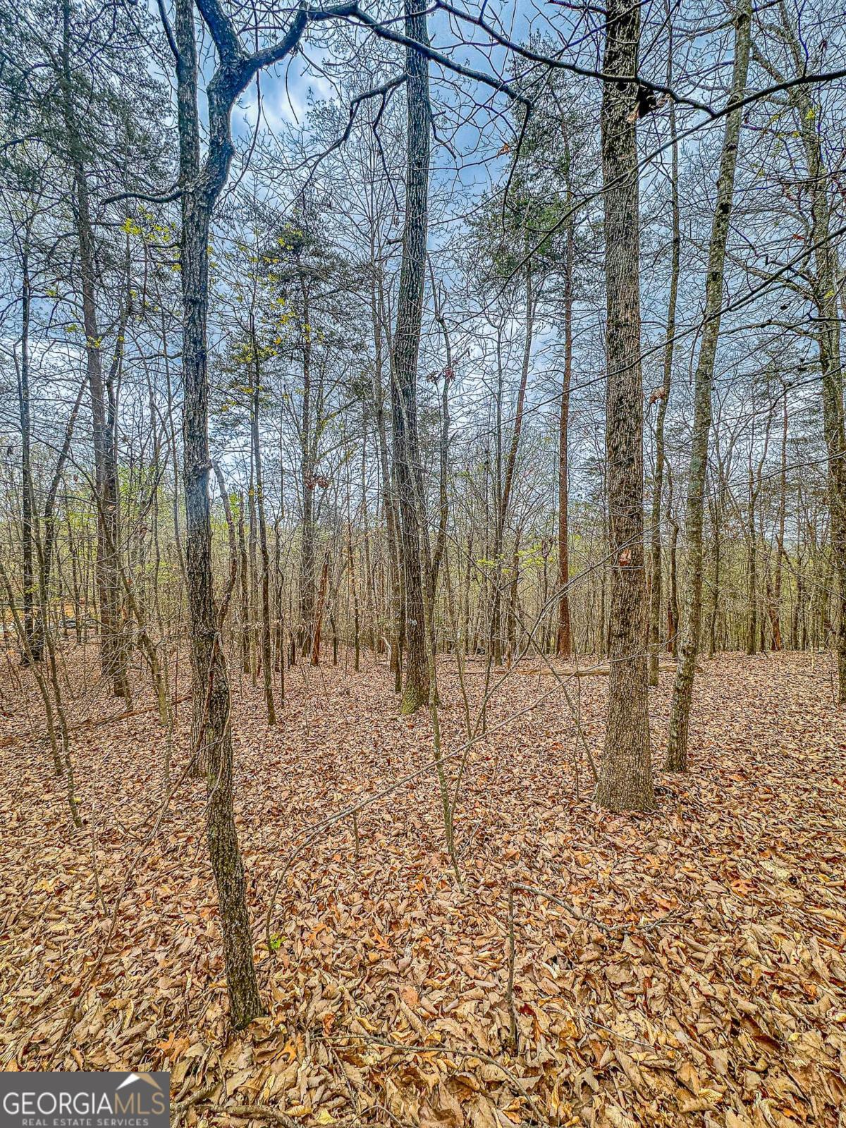 0 Green Meadows Dahlonega GA 30533
