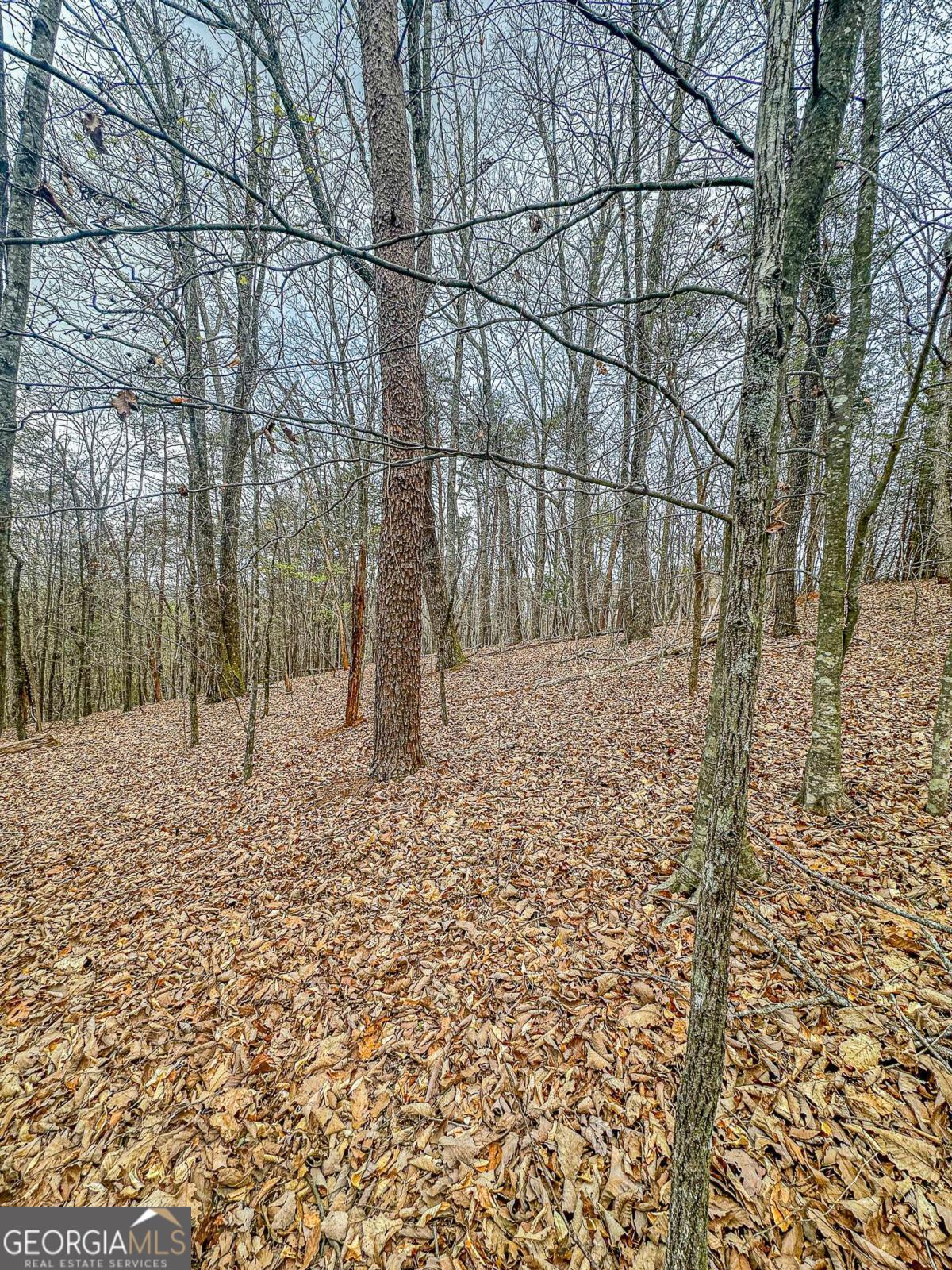 0 Green Meadows Dahlonega GA 30533