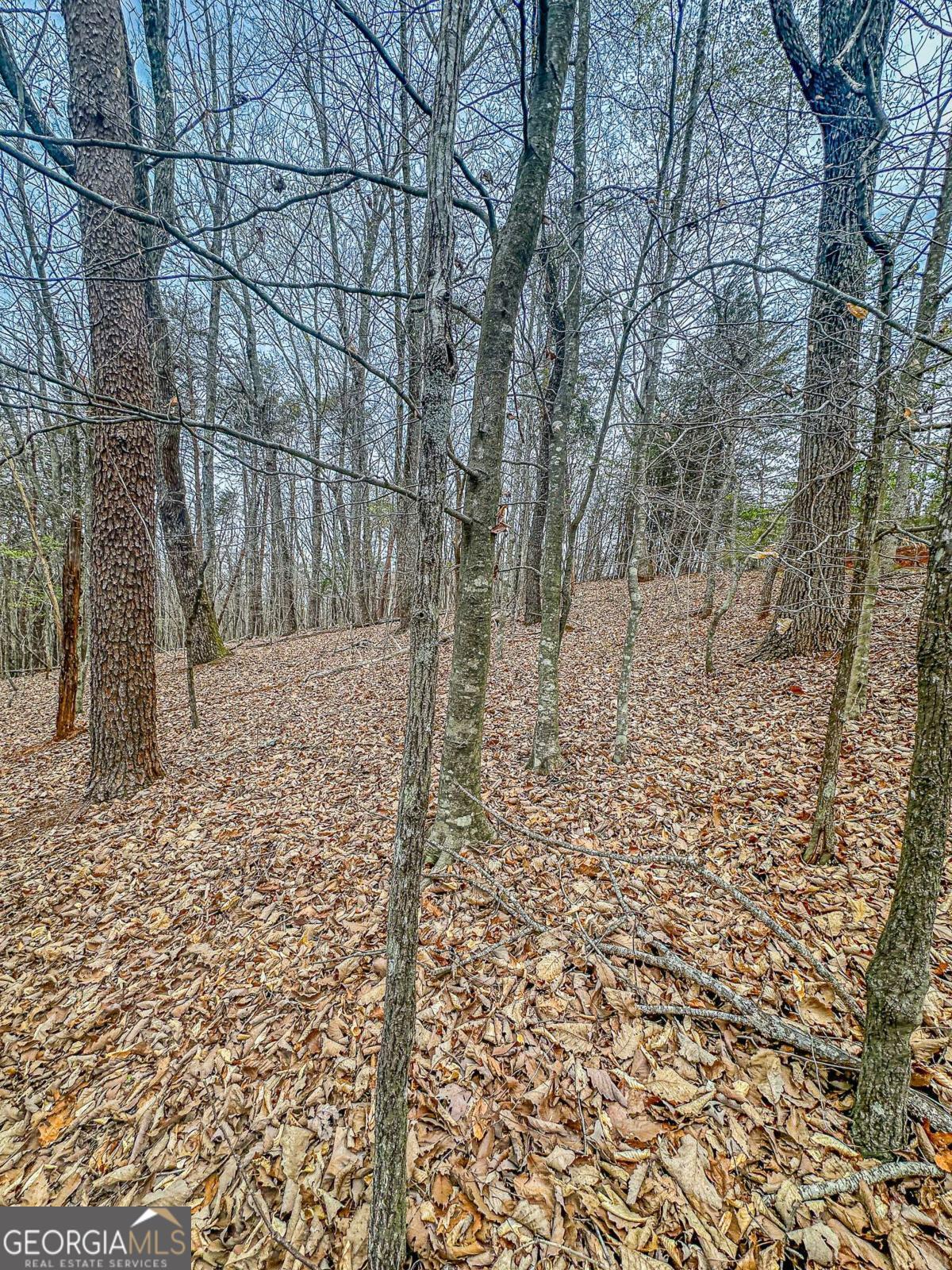 0 Green Meadows Dahlonega GA 30533