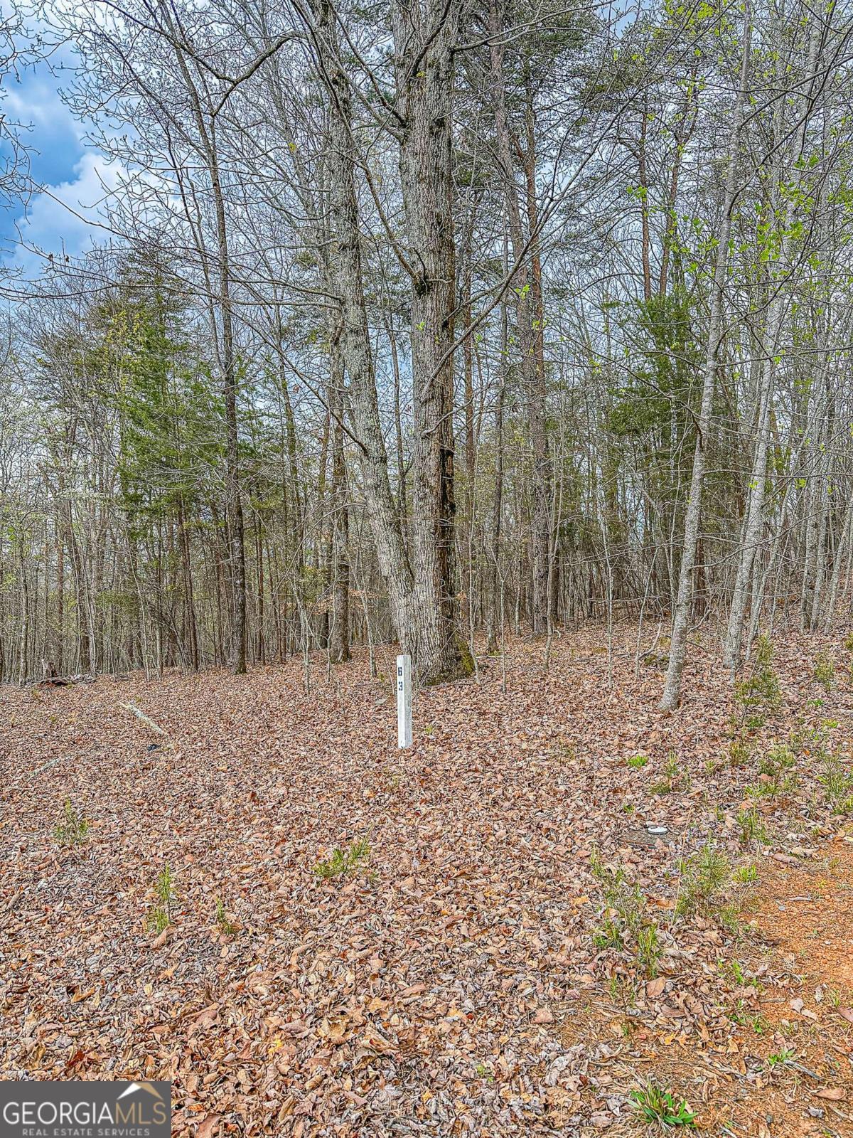 0 Green Meadows Dahlonega GA 30533