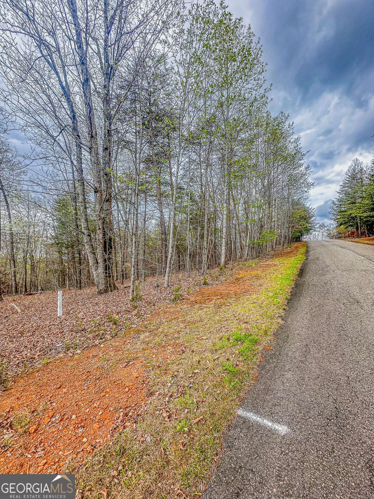 0 Green Meadows Dahlonega GA 30533
