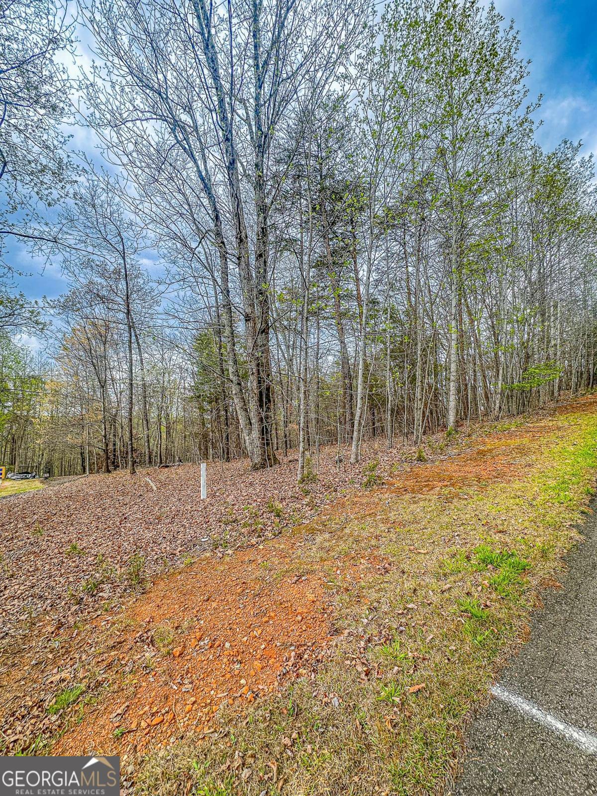 0 Green Meadows Dahlonega GA 30533