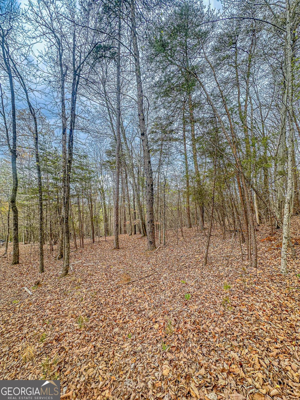 0 Green Meadows Dahlonega GA 30533