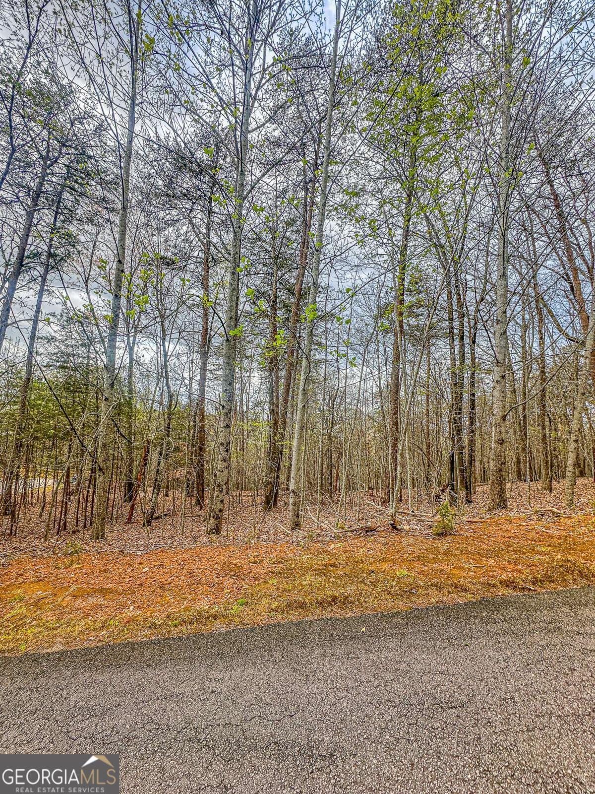 0 Green Meadows Dahlonega GA 30533