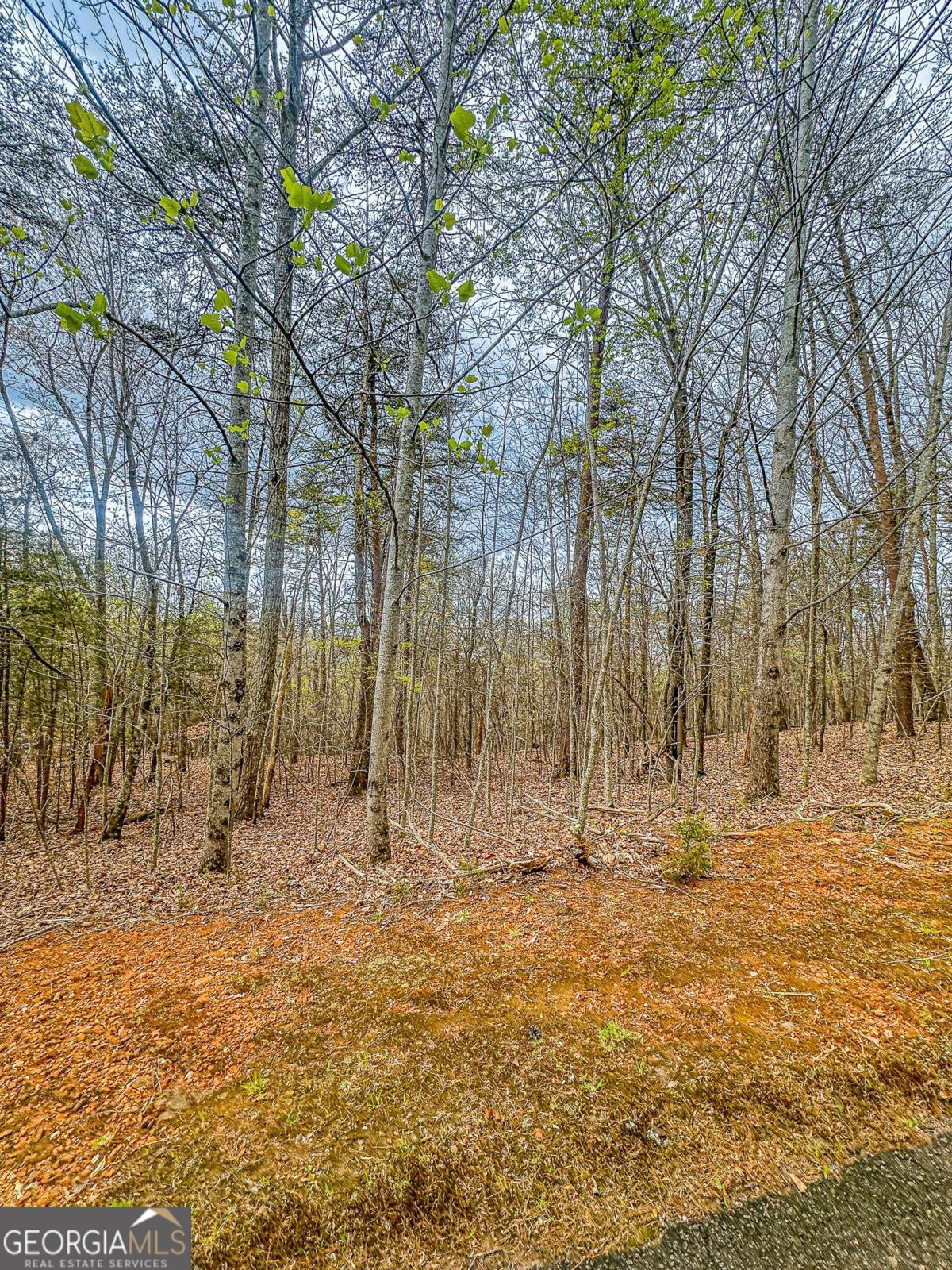 0 Green Meadows Dahlonega GA 30533