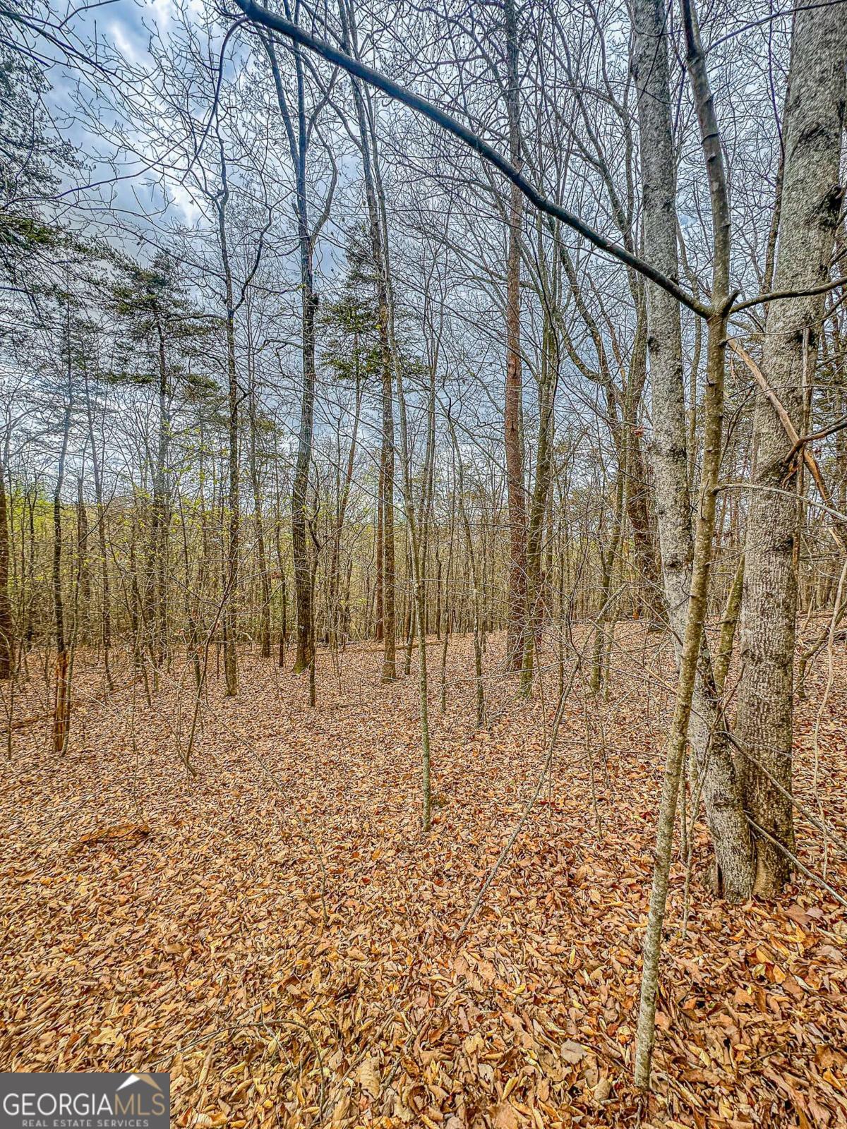 0 Green Meadows Dahlonega GA 30533