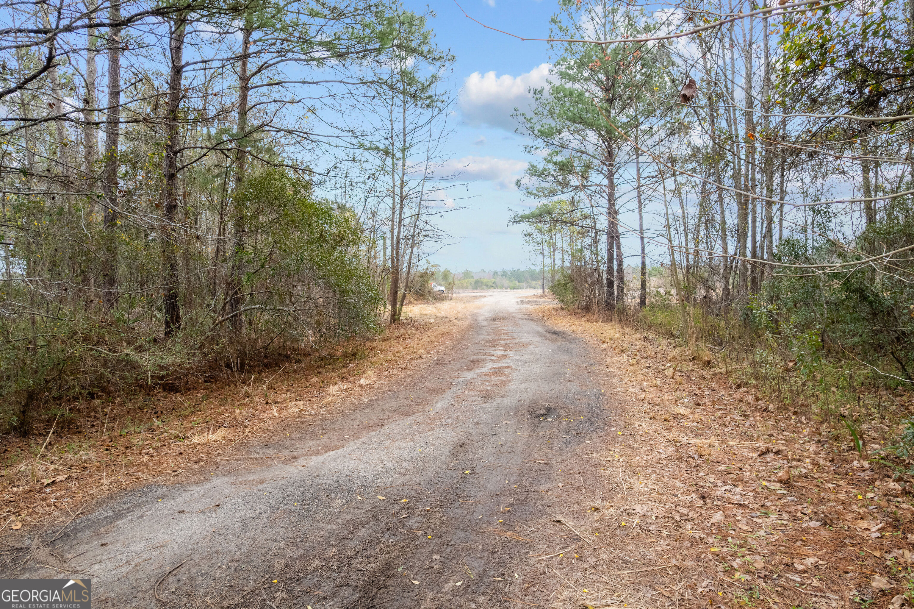 0 N 4th Street Jesup GA 31545