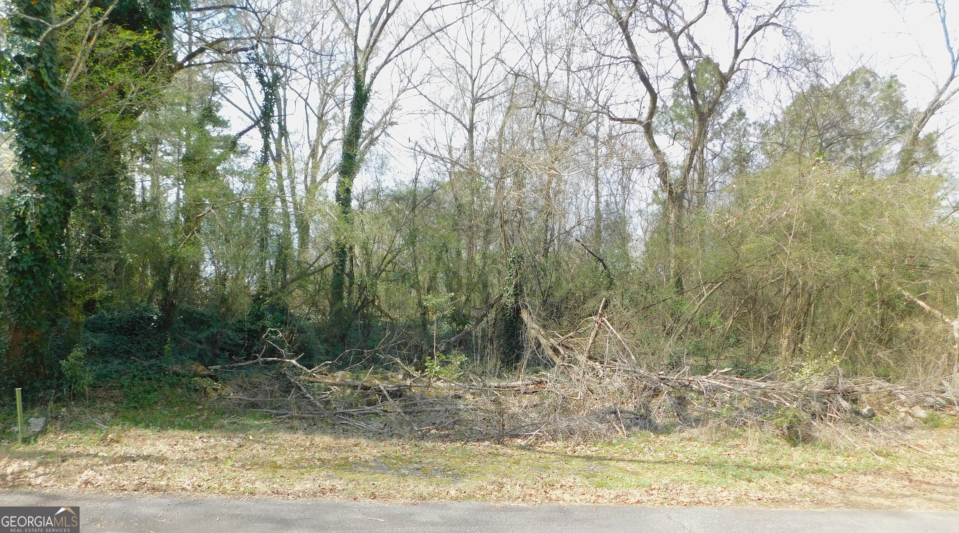 Lot 26,27,28 Herndon Boulevard Morrow GA 30260
