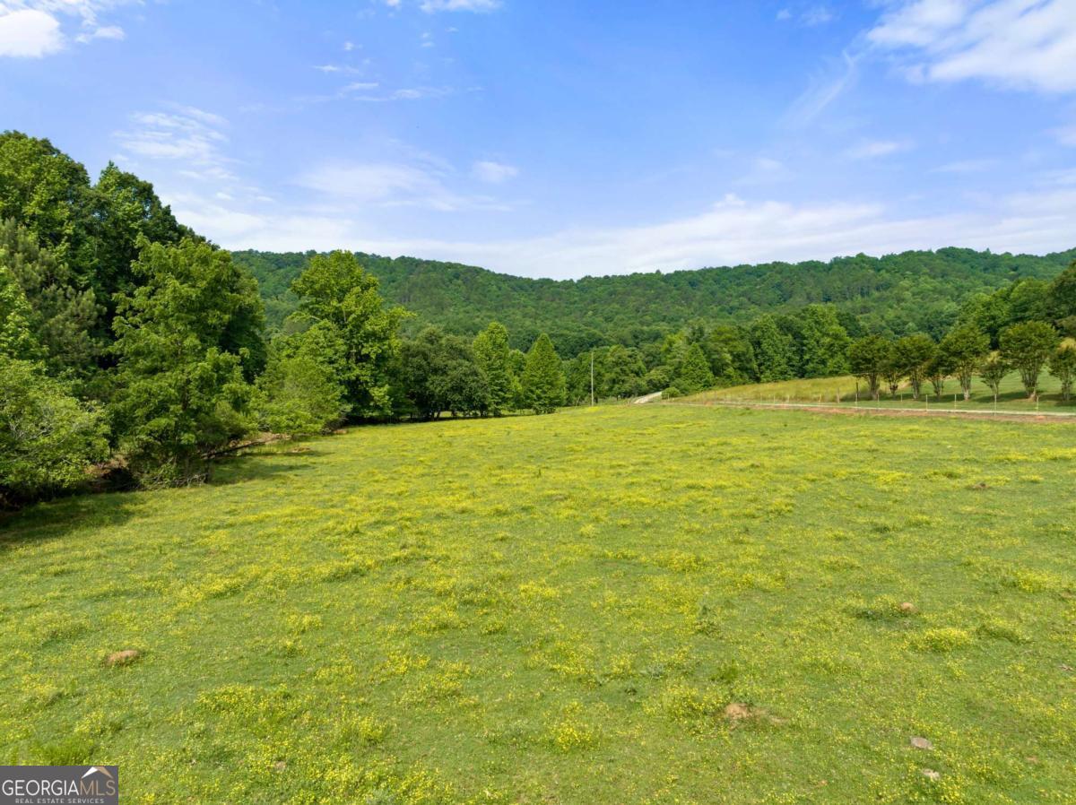 0 Freeman View Trail Cleveland GA 30528